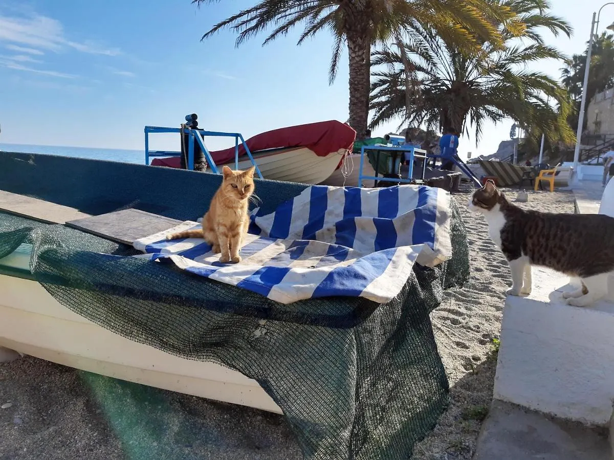 2E Ferienwohnung Am Meer Playa Burriana 1 Linea, Erste Strandreihe Nerja